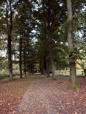 B-Herbststimmung 025.jpg